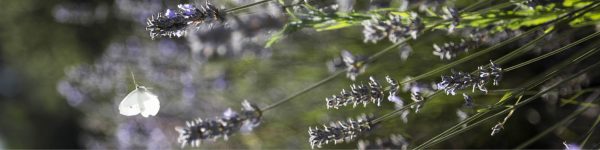 fotografía de producto para ferias