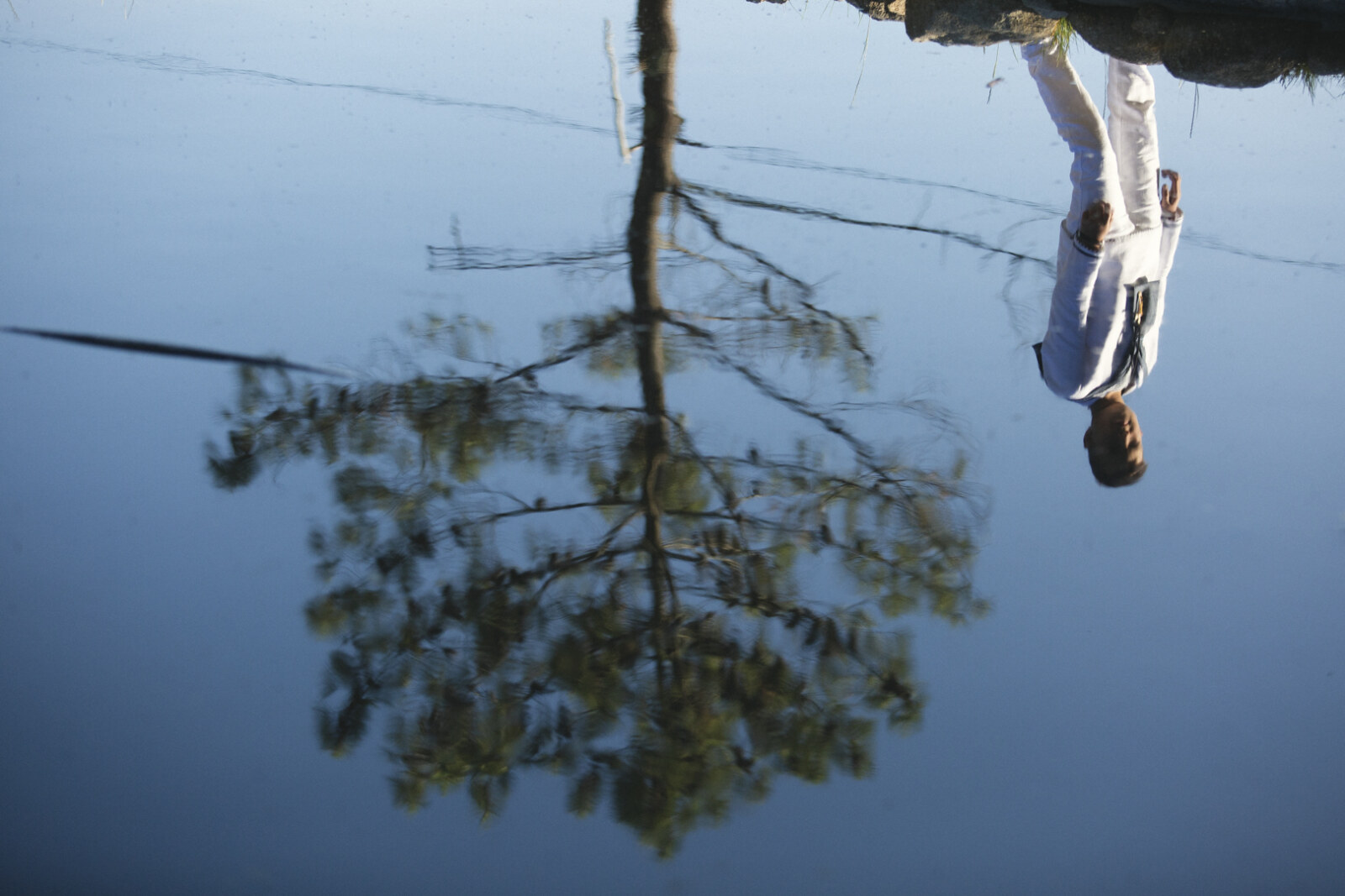 Reflejo de un niño de comunión y un árbol en el agua