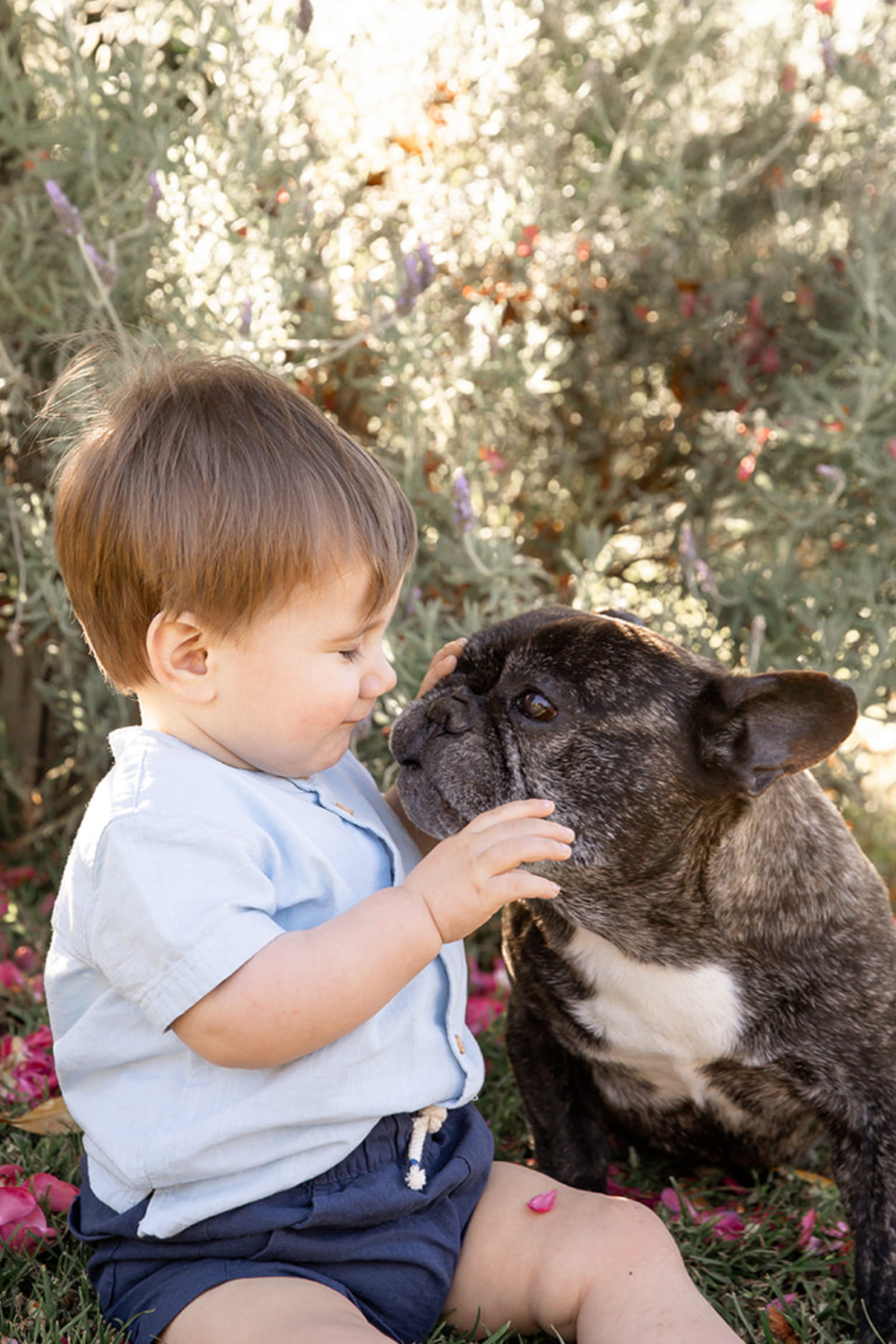 Niño acariciando el hocico de su perro en una tarde de campo