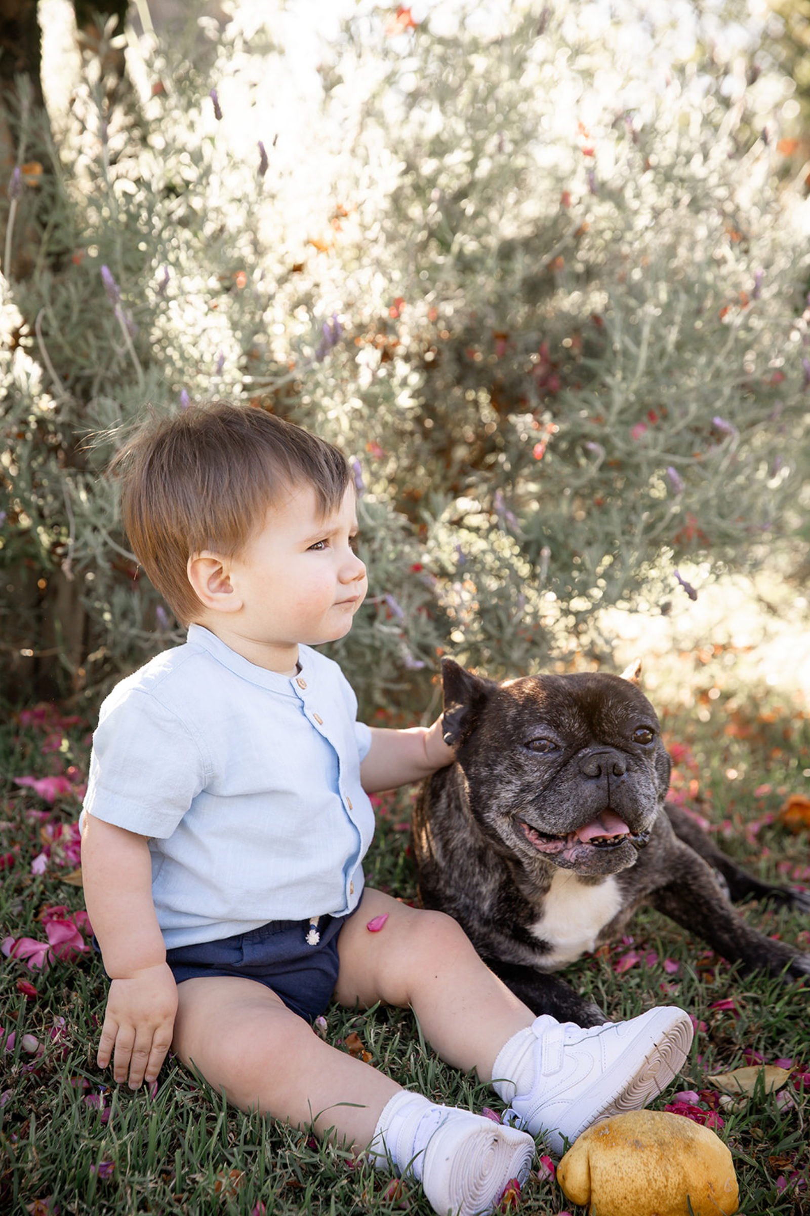 Niño y bulldog francés sentados juntos entre la hierba