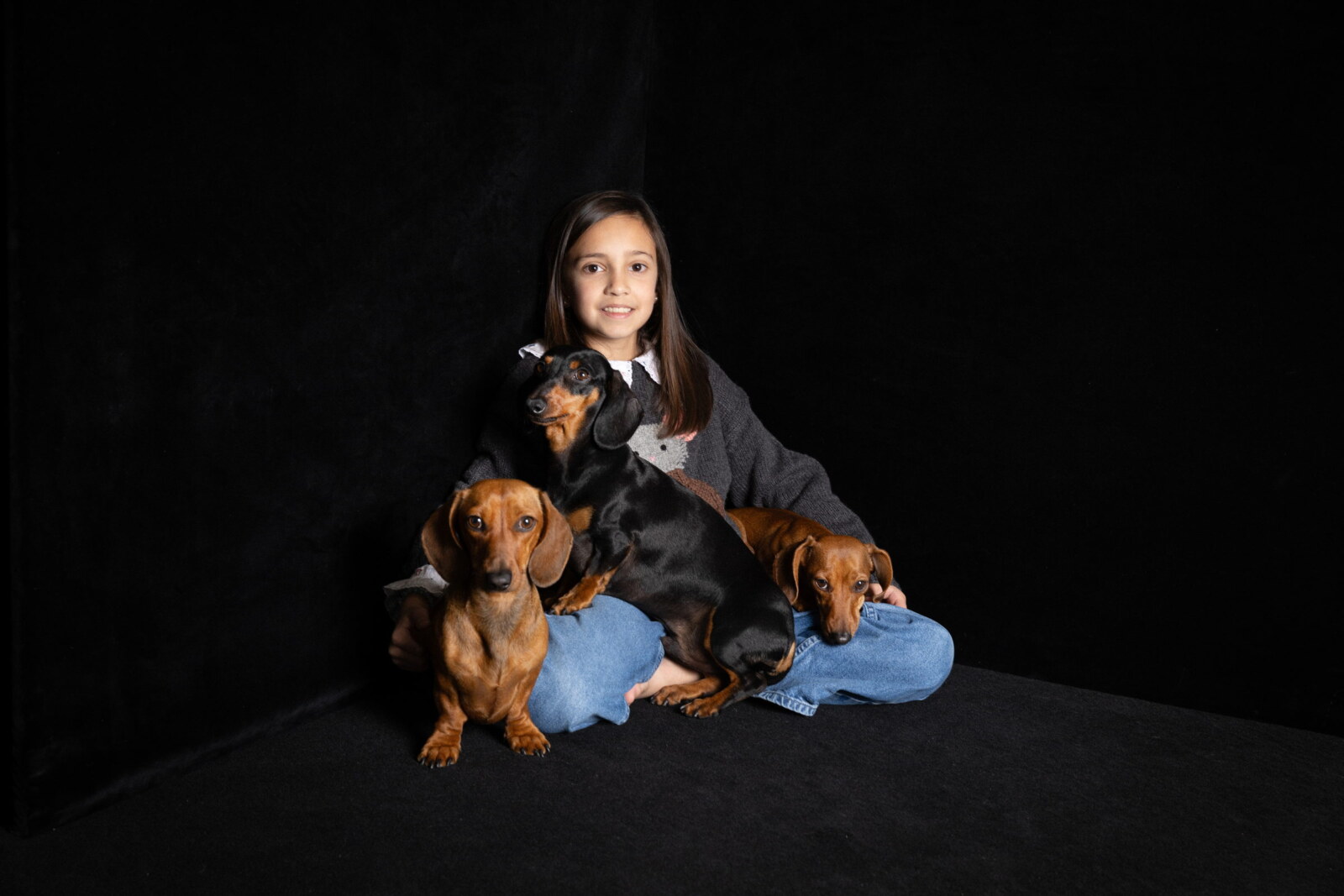 Retrato de estudio de una niña con sus perros sobre fondo negro